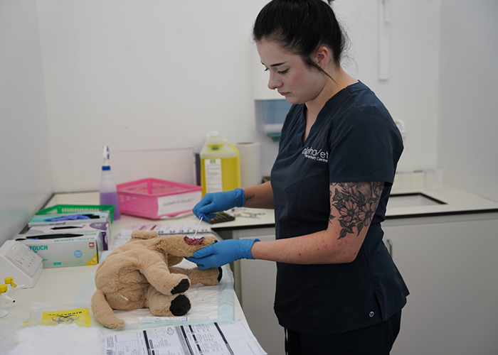 A trainee vat operating on a soft toy