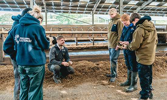 Students learning in a farm environment